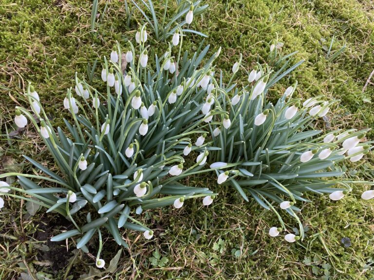 Märts ja kevadväsimus – miks  energiat napib?